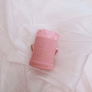 Preserved Rose Velvet Mini - Pink Box