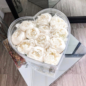 Peonies - Sweetheart