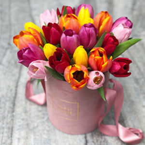 Tulips - Pink Velvet Box