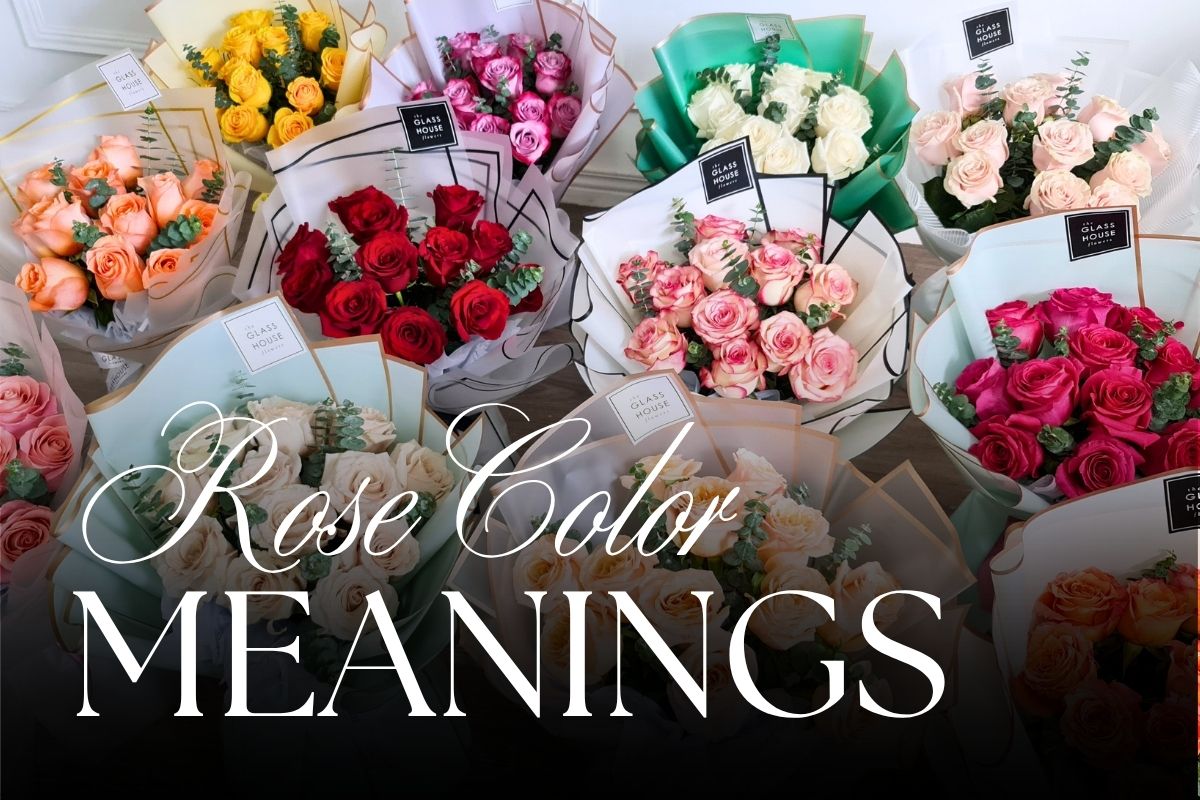 Rose Colors & Their Meanings: Choosing the Right Shade for Every Moment