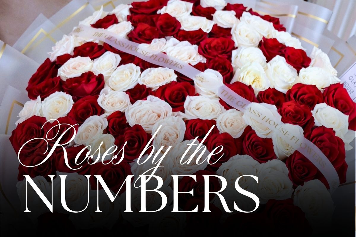 Roses by the Numbers: What Every Bouquet Really Says