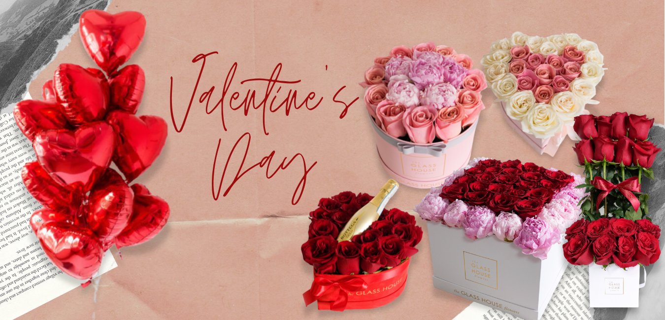 Valentine's Day Collection