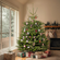 Fresh-Cut Abies Nordmanniana Christmas Tree (Full-Size)
