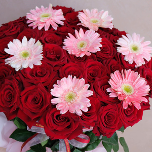 Haute Roses & Gerbera - Midi Round Box w/ Wrapper