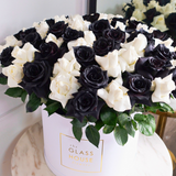 Reflexed Roses - Grandiose Box