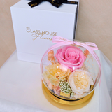 Glowball - Pink & Cream