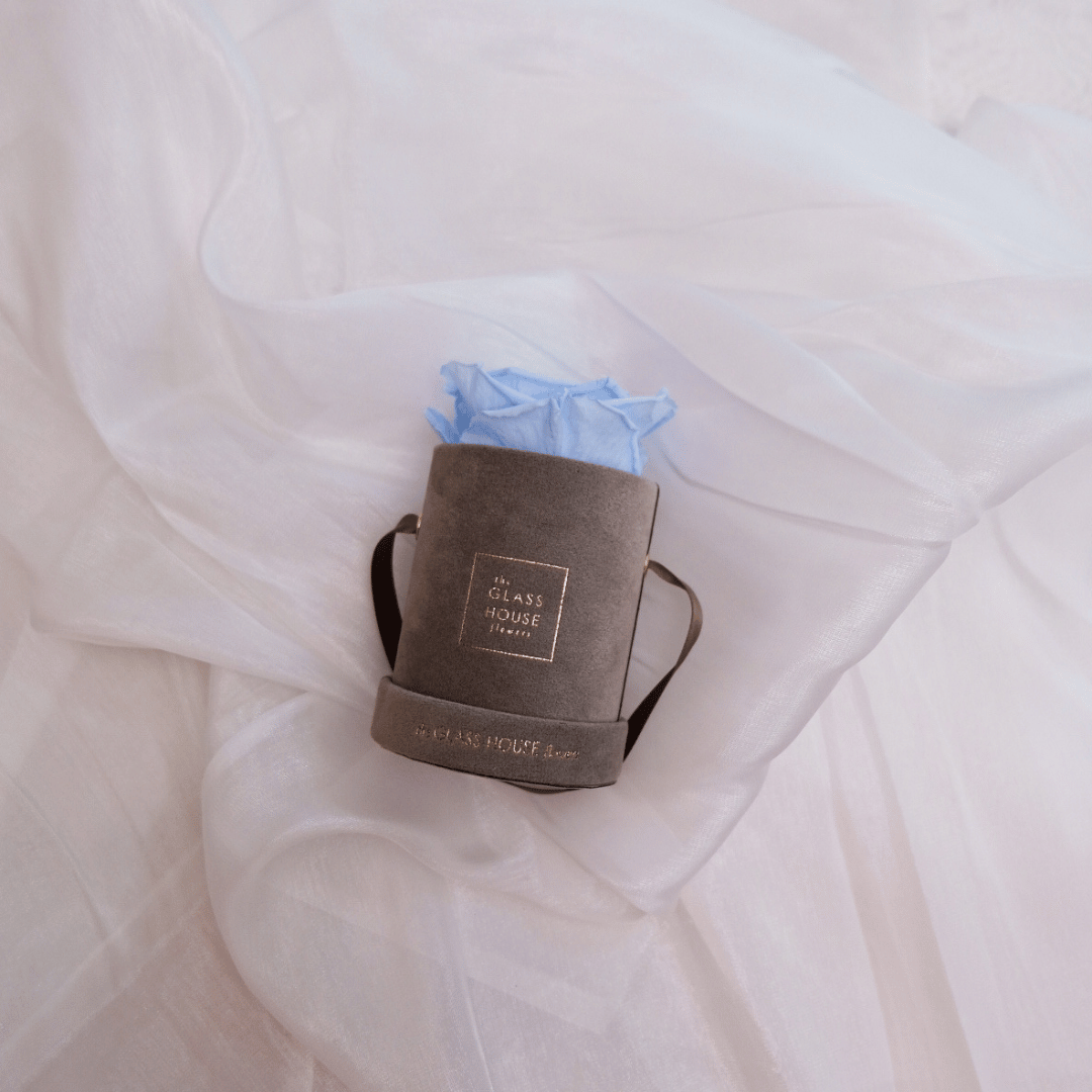 Preserved Rose Velvet Mini - Gray Box