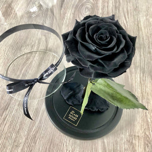 Belle Fleur