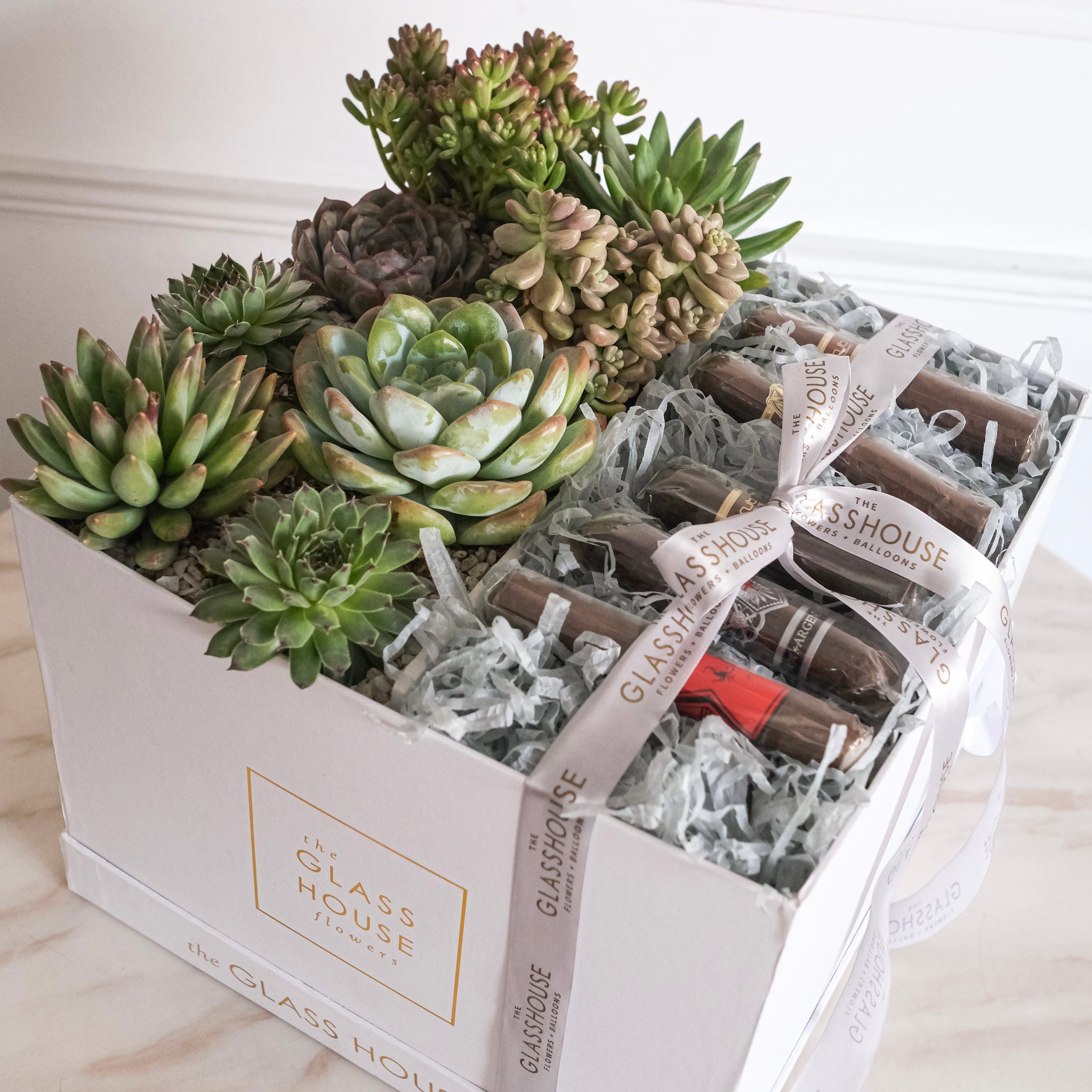 Succulents + Cigars Bloom Box - Large Square Box