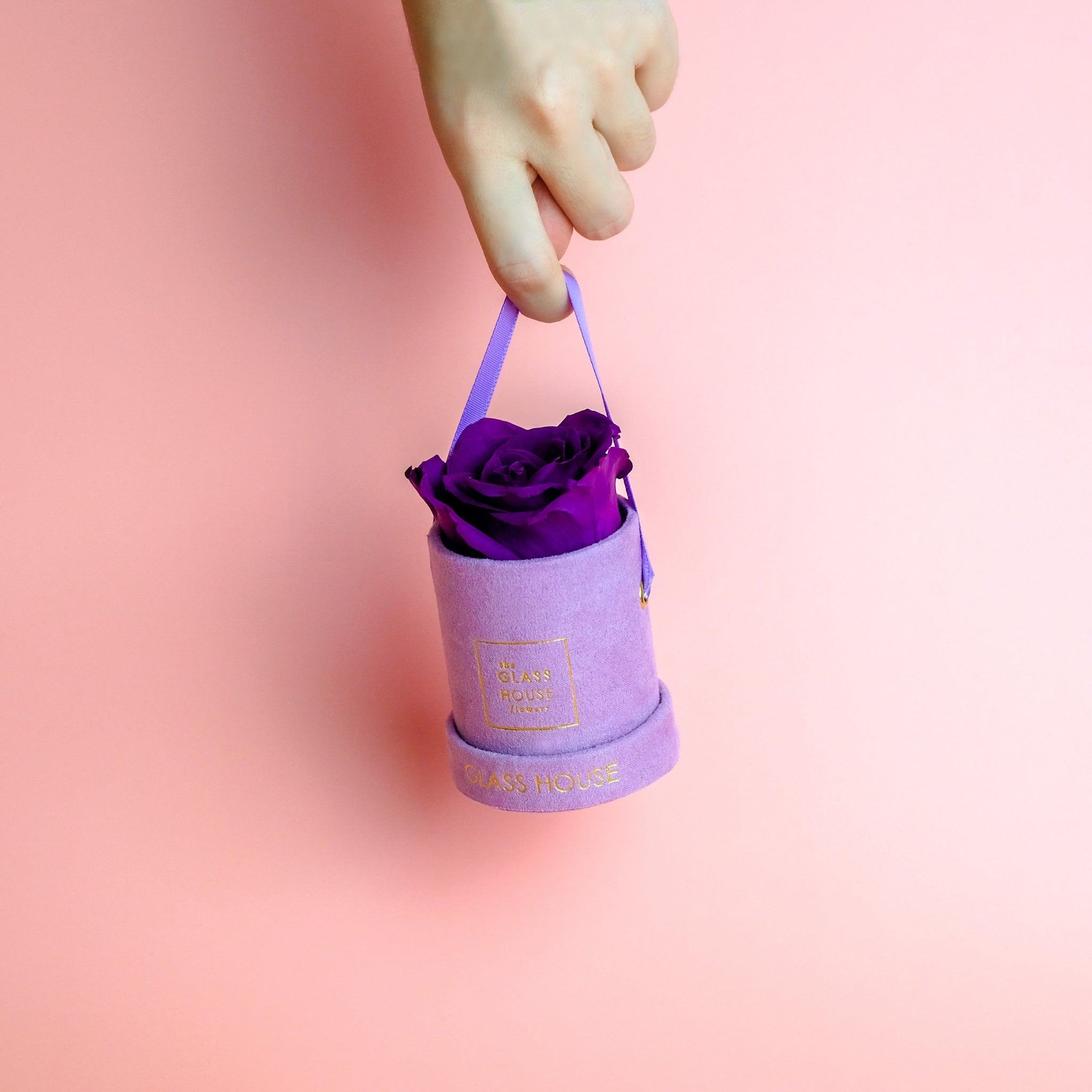 Preserved Rose Velvet Mini - Lavender Box