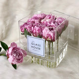 Peonies - Petit