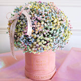 Gypsophila - Pink Velvet Box